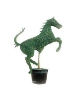 Rearing Horse (Ligustrum Delavayanum)