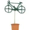 Bicycle (Ligustrum Delavayanum)