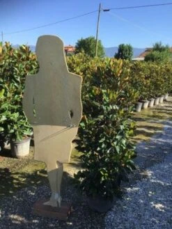 Beverboom (Magnolia Grandiflora 'Little Gem') -Aanbiedingen Groene Hekken Winkel magnola little gem 125 150 c25 2