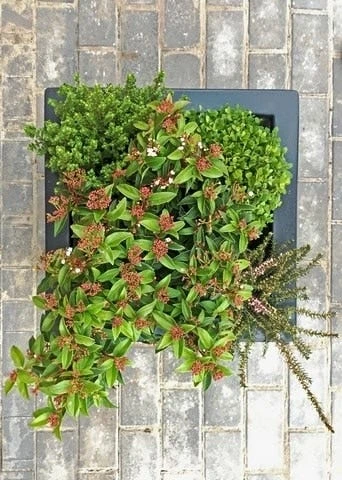 Winterpakket 4 Winterpakket - Afbeelding 2